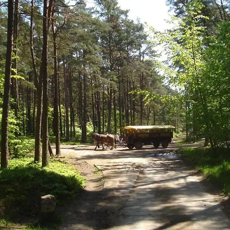 Prázdninový dům Crane's Nest